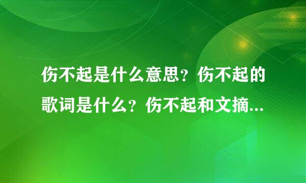 伤不起是什么意思？伤不起的歌词是什么？伤不起和文摘酷是什么关系？