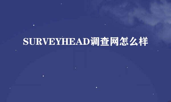 SURVEYHEAD调查网怎么样