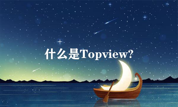 什么是Topview?