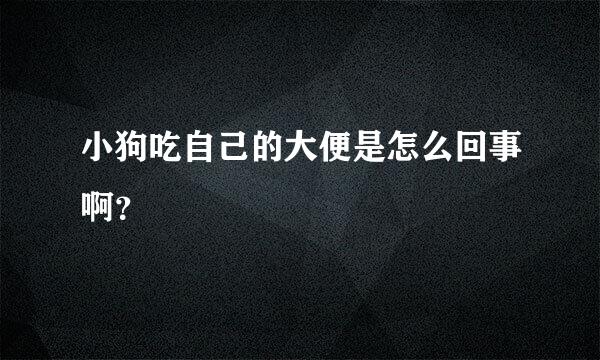 小狗吃自己的大便是怎么回事啊？