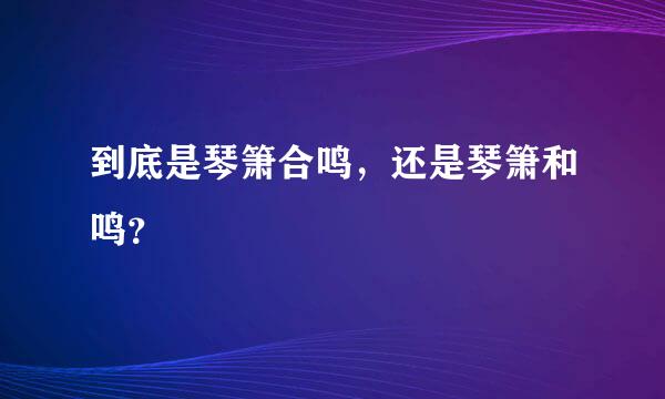 到底是琴箫合鸣，还是琴箫和鸣？