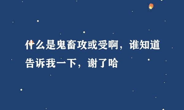 什么是鬼畜攻或受啊，谁知道告诉我一下，谢了哈