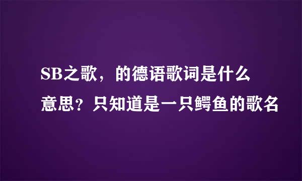 SB之歌，的德语歌词是什么意思？只知道是一只鳄鱼的歌名