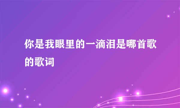 你是我眼里的一滴泪是哪首歌的歌词