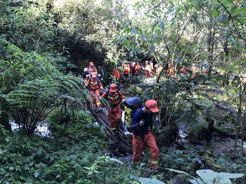 哀牢山遇难地质员上山前购物，4个人买了100元食品，都买了些什么？