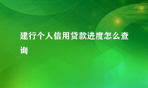 建行个人信用贷款进度怎么查询