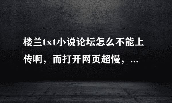 楼兰txt小说论坛怎么不能上传啊，而打开网页超慢，我打开其他的网页速度正常。