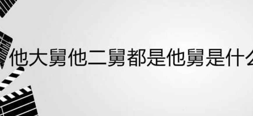 他大舅他二舅都是他舅是什么电视主题歌？