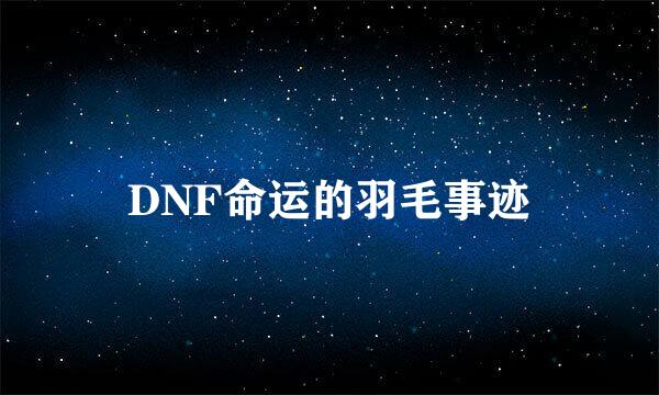 DNF命运的羽毛事迹