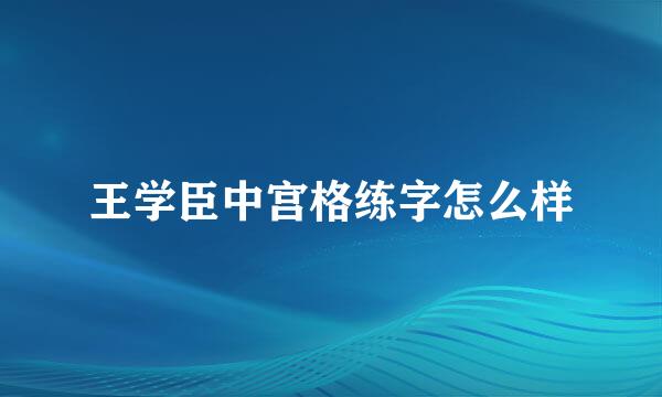 王学臣中宫格练字怎么样