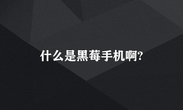 什么是黑莓手机啊?