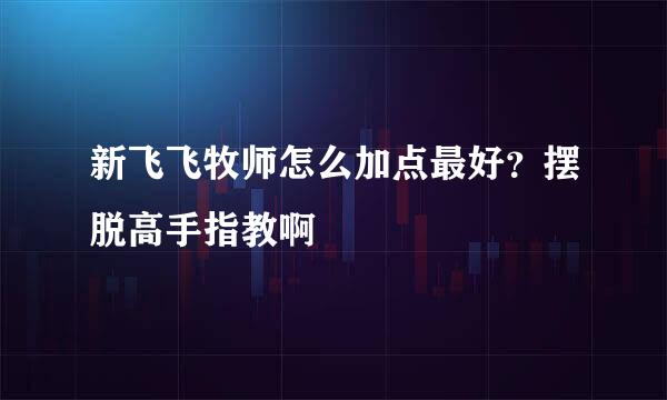 新飞飞牧师怎么加点最好？摆脱高手指教啊