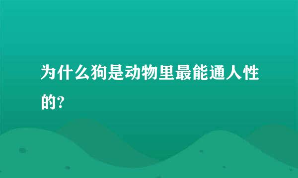 为什么狗是动物里最能通人性的?