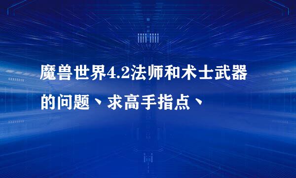 魔兽世界4.2法师和术士武器的问题丶求高手指点丶