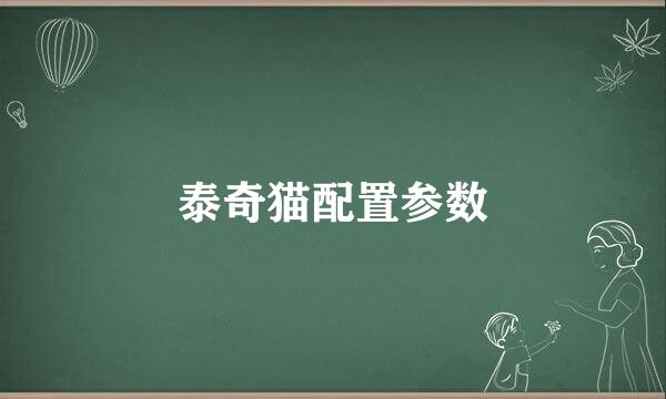 泰奇猫配置参数