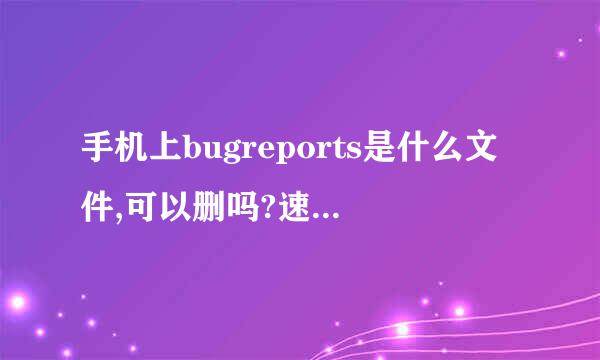 手机上bugreports是什么文件,可以删吗?速回。谢谢