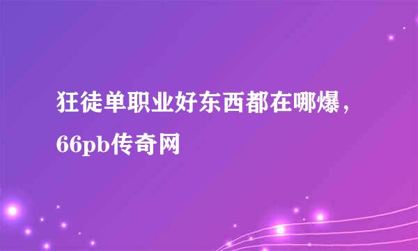 狂徒单职业好东西都在哪爆，66pb传奇网