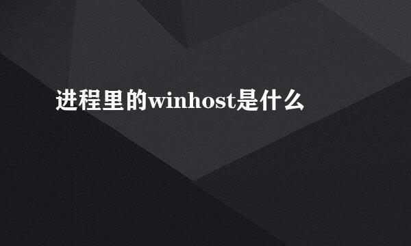 进程里的winhost是什么