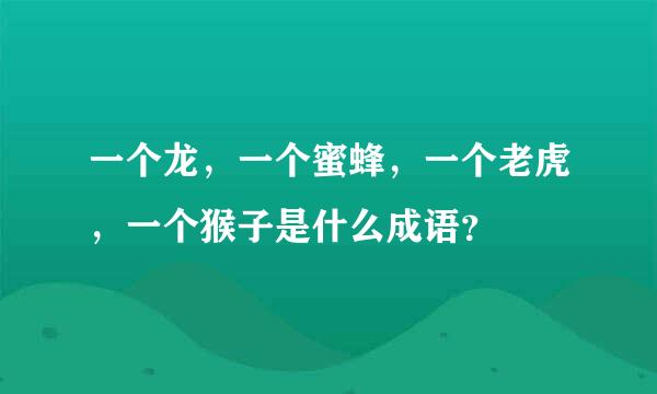 一个龙，一个蜜蜂，一个老虎，一个猴子是什么成语？