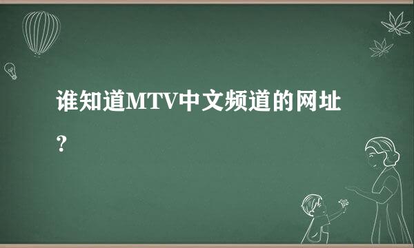 谁知道MTV中文频道的网址？