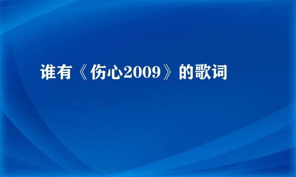 谁有《伤心2009》的歌词