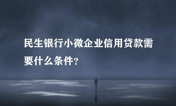 民生银行小微企业信用贷款需要什么条件？