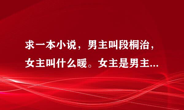 求一本小说，男主叫段桐治，女主叫什么暖。女主是男主老师，也是男主哥哥的女朋友。男主哥很坏。男主很叛