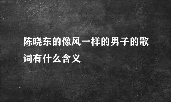 陈晓东的像风一样的男子的歌词有什么含义