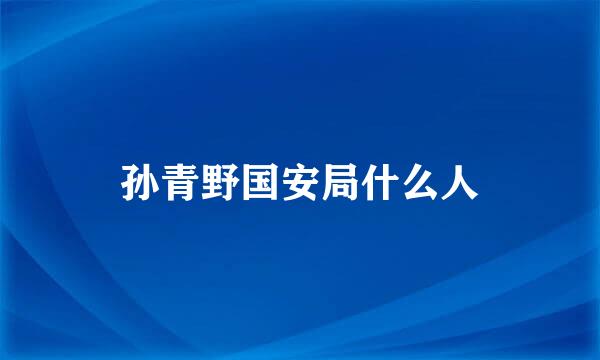 孙青野国安局什么人