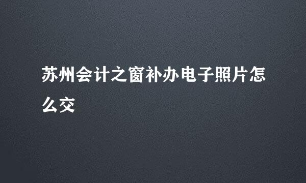 苏州会计之窗补办电子照片怎么交