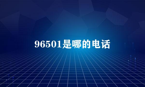 96501是哪的电话