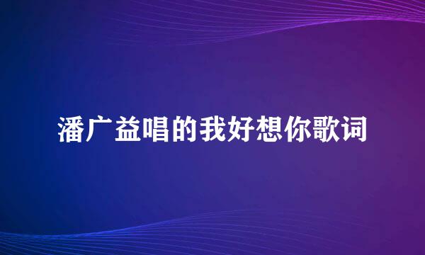 潘广益唱的我好想你歌词