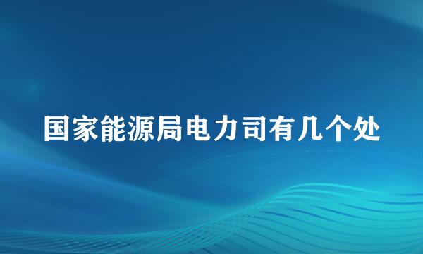 国家能源局电力司有几个处