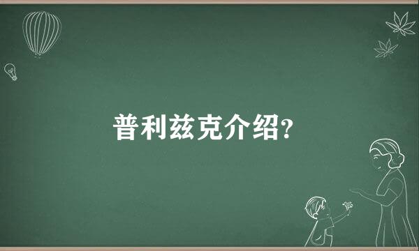 普利兹克介绍？