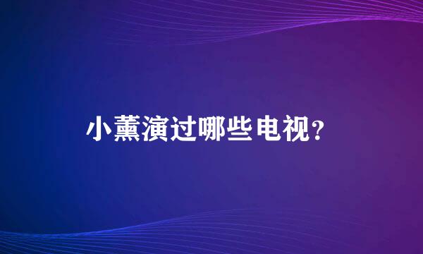 小薰演过哪些电视？