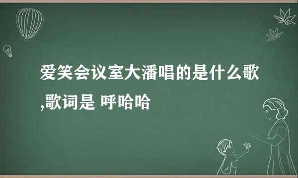 爱笑会议室大潘唱的是什么歌,歌词是 呼哈哈