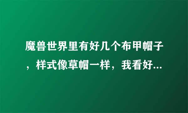 魔兽世界里有好几个布甲帽子，样式像草帽一样，我看好多人带过，忘记叫什么名字了。有没有高人帮忙？