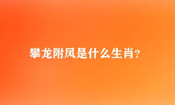 攀龙附凤是什么生肖？