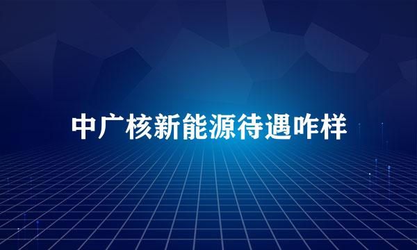 中广核新能源待遇咋样