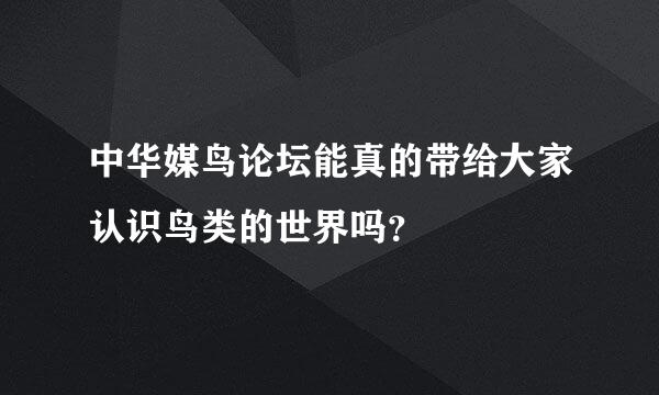 中华媒鸟论坛能真的带给大家认识鸟类的世界吗？