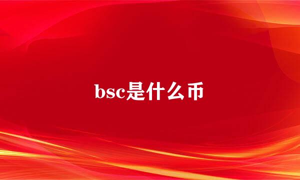 bsc是什么币