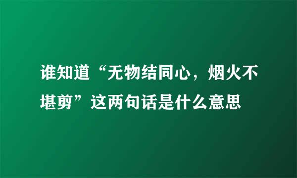 谁知道“无物结同心，烟火不堪剪”这两句话是什么意思