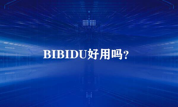 BIBIDU好用吗？