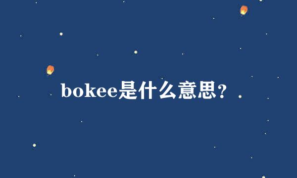 bokee是什么意思？