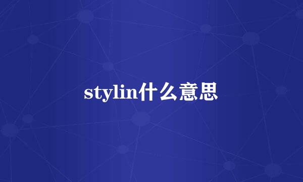 stylin什么意思