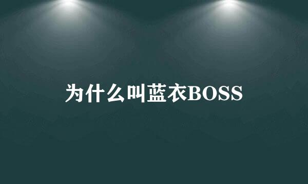 为什么叫蓝衣BOSS