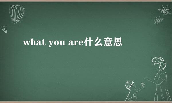 what you are什么意思