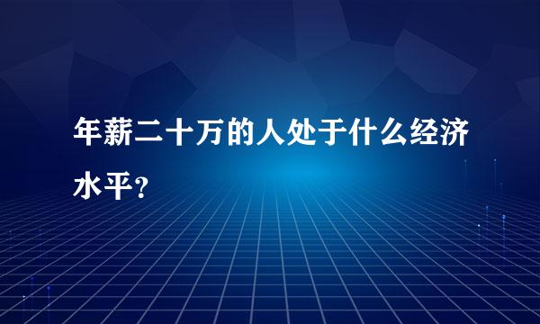 年薪二十万的人处于什么经济水平？