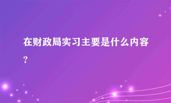 在财政局实习主要是什么内容？