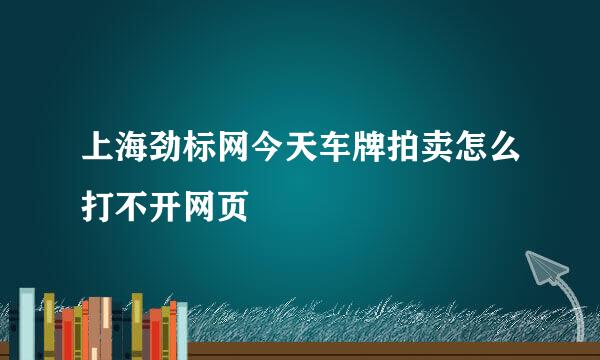 上海劲标网今天车牌拍卖怎么打不开网页